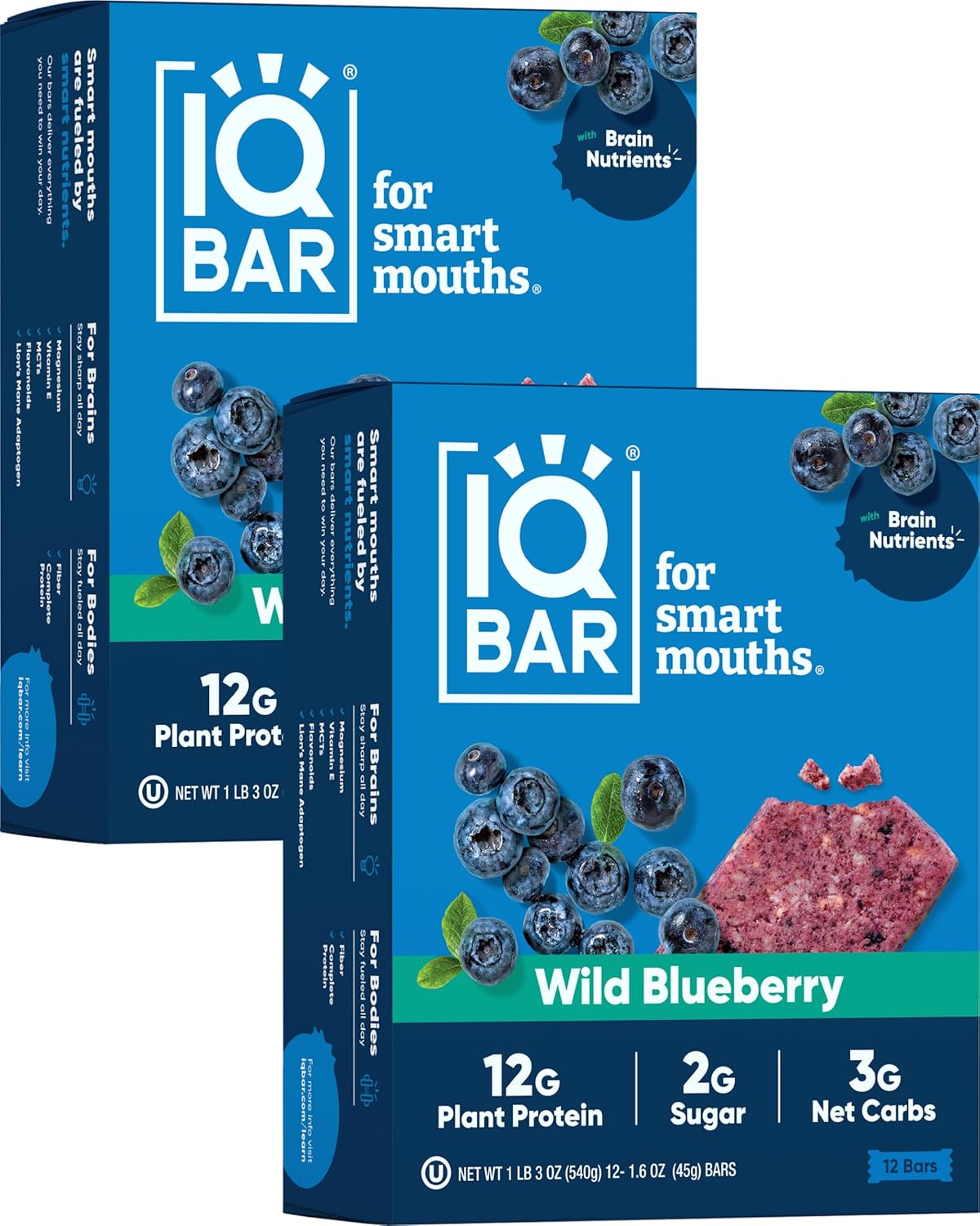 IQBAR Brain and Body Plant Protein Bars - Chocolate Sea Salt - 12-Count - Keto, Vegan, Low Carb, High Fiber, Gluten Free, Dairy Free, Low Sugar Snack with Nutrients for Focus, Energy, Meal Replacement