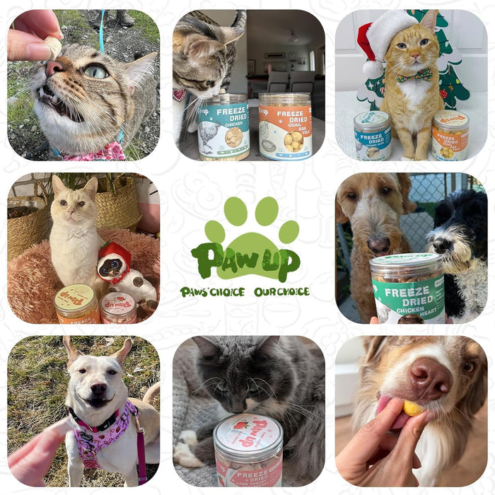 PAWUP Freeze Dried Chicken Heart Pet Treats, High Protein Freeze-Dried Pet Food for Dogs, Cats, Fresh Ingredient, 3.2 oz, Rawhide Free, Gluten&Grain Free