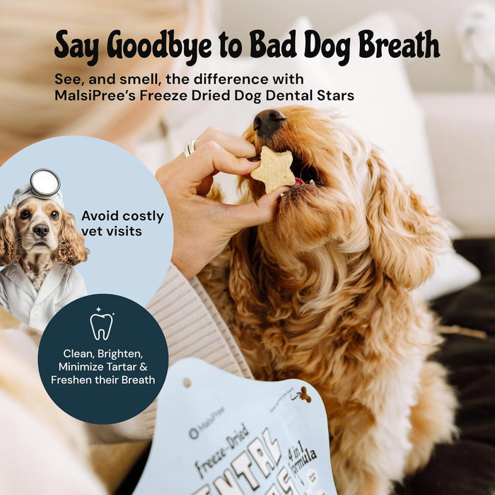 MalsiPree Freeze Dried Dental Chews for Dogs - Clean, Brighten, Freshen Breath & Minimize Tartar - Dog Teeth Cleaning Chews - Anti-Choke - Natural Lysozyme (Chicken Base, 18 pc)