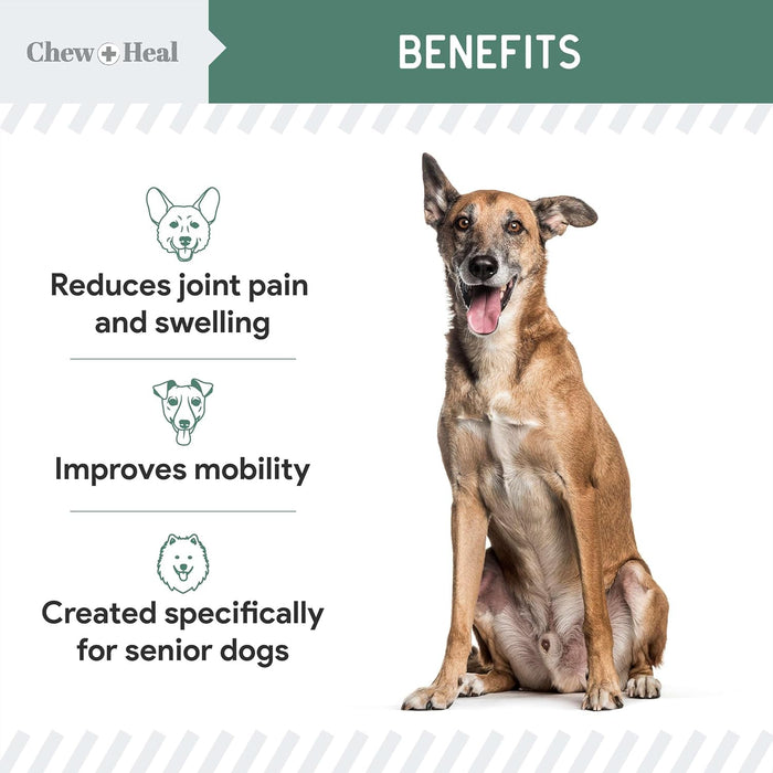 Glucosamine for Dogs Hip and Joint Supplement - 60 Senior Dogs Mobility Soft Chews - Made with Glucosamine, MSM, Chondroitin, Green Lipped Mussels and More - Made in The USA