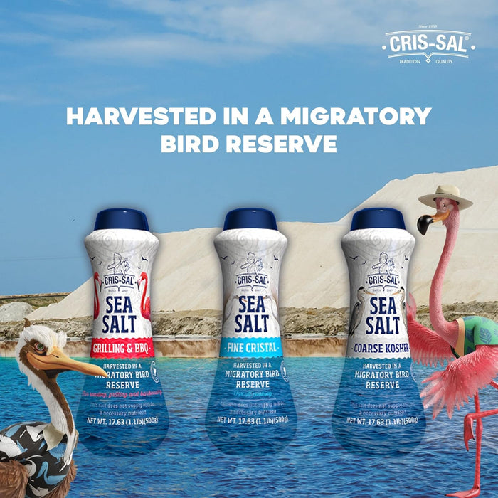 Cris-Sal Gourmet Fine Cristal Sea Salt, Full Flavor Premium Natural Grain, Great for Cooking, Table Seasoning Recipes, Pantry Friendly, 17.63 Oz (Pack of 2)