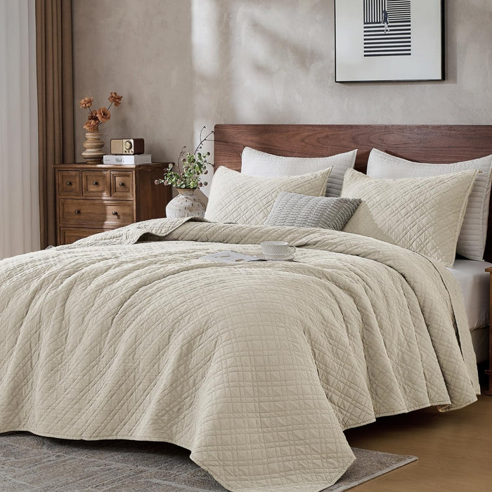 DOWN HOME Queen Quilt Bedding Set with Shams, Lightweight Bedspread Coverlet Thin Comforter Bed Cover Soft Quilted Blanket for All Season, Brushed Microfiber Diamond Stitching, Ash Gray, 88"x92"