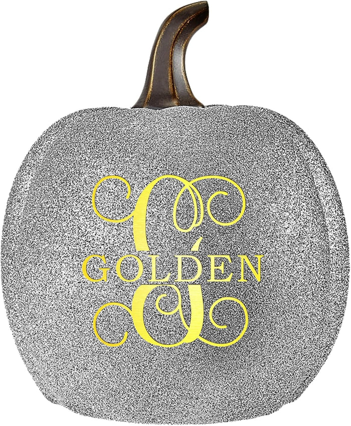Let's Make Memories Personalized Light Up Pumpkin Decor Outdoor - Your Name & Initial on a Custom Pumpkin - Halloween Fall Decoration - Jack o Lantern - Outside or Inside - XL - Orange