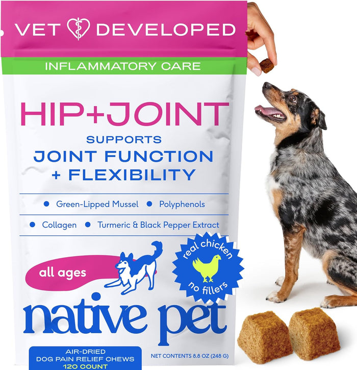 Native Pet Hip & Joint Supplement for Dogs - Advanced Dog Joint & Arthritis Supplement - Helps Maintain Healthy Cartilage, Joint Flexibility, Lubrication, & Function - with ESM & Collagen - 60 Chews