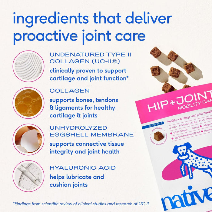 Native Pet Hip & Joint Supplement for Dogs - Advanced Dog Joint & Arthritis Supplement - Helps Maintain Healthy Cartilage, Joint Flexibility, Lubrication, & Function - with ESM & Collagen - 60 Chews