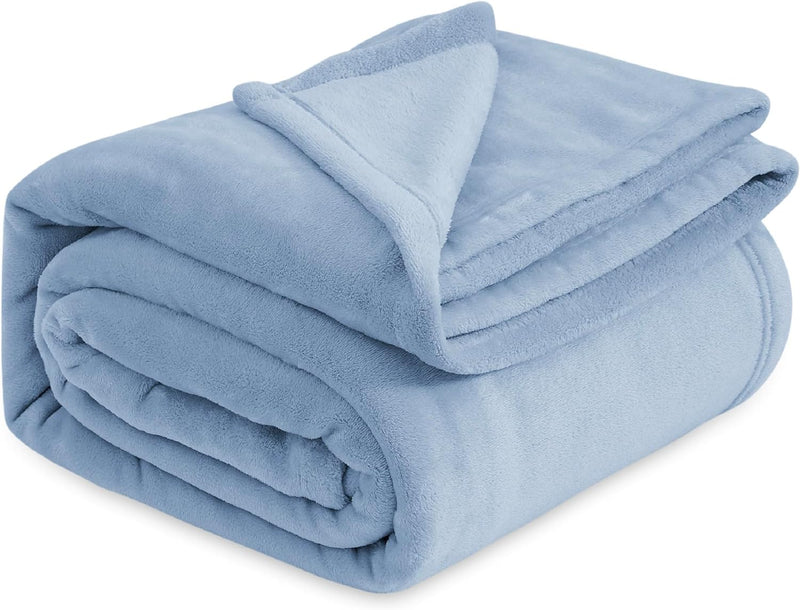 Bedsure Soft Plush Bed Blankets - Lightweight Fuzzy Cozy Luxury Blanket