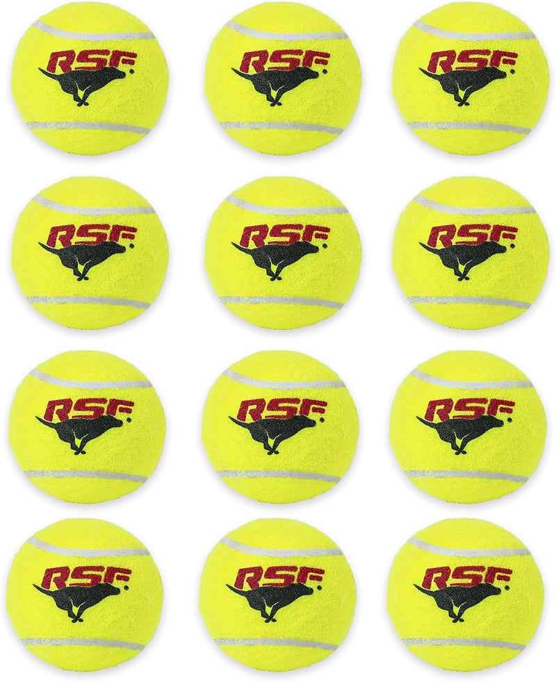 Franklin Pet Supply Co. Squeaky Dog Tennis Balls - Ready Set Fetch Dog Toy Tennis Balls with Squeaker - Perfect Pet Toy Fetch Ball for Small, Medium + Large Dogs - 3 Pack