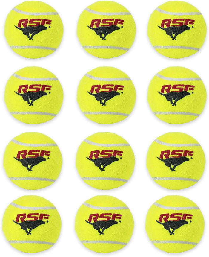 Franklin Pet Supply Co. Squeaky Dog Tennis Balls - Ready Set Fetch Dog Toy Tennis Balls with Squeaker - Perfect Pet Toy Fetch Ball for Small, Medium + Large Dogs - 3 Pack