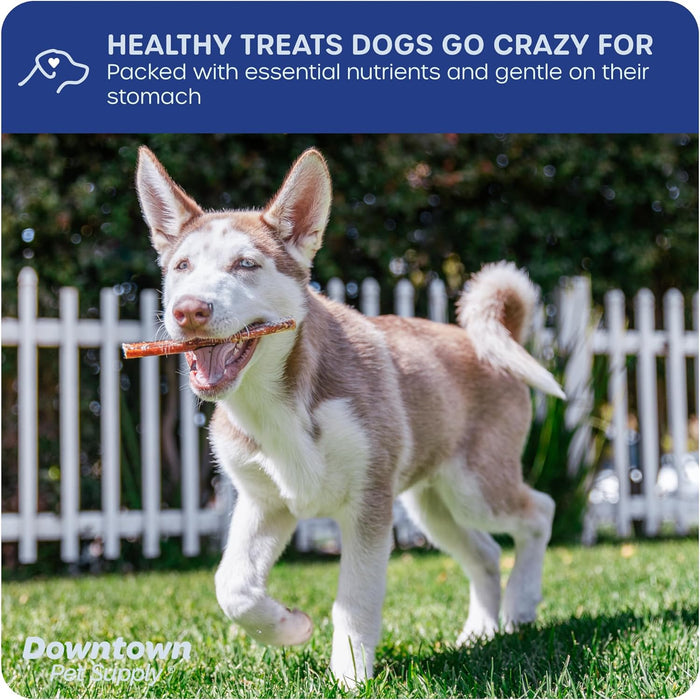 Downtown Pet Supply USA Sourced Bully Sticks for Dogs - Grass-fed Beef Chews, Low-Odor & Rawhide-Free, Long Lasting Dog Treats for Heavy Chewers - Healthy, Safe & Delicious Chews (6" 15 Pack)