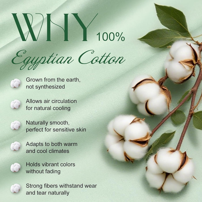 Ivellow 100% Egyptian Cotton Queen Size Sheets Set - 1200 Thread Count 6 PC 18" Deep Pocket Queen Sheets，Luxury Cotton Bed Sheets Soft Breathable Sage Green Cooling Sheet Sets Hotel Quality Bedding