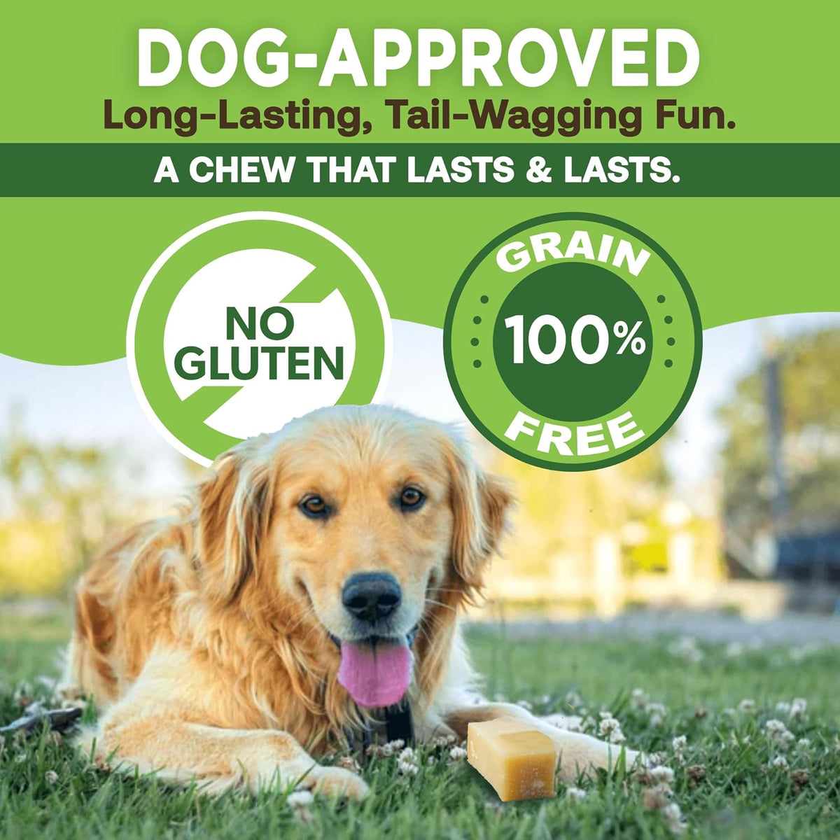 EcoKind Pet Treats Gold Himalayan Yak Cheese Dog Chew, Yak Dog Treats for Active Chewers, 100% Natural & Healthy Chew Sticks for Small & Large Dogs, Yak Cheese Chews (3 Medium Sticks)