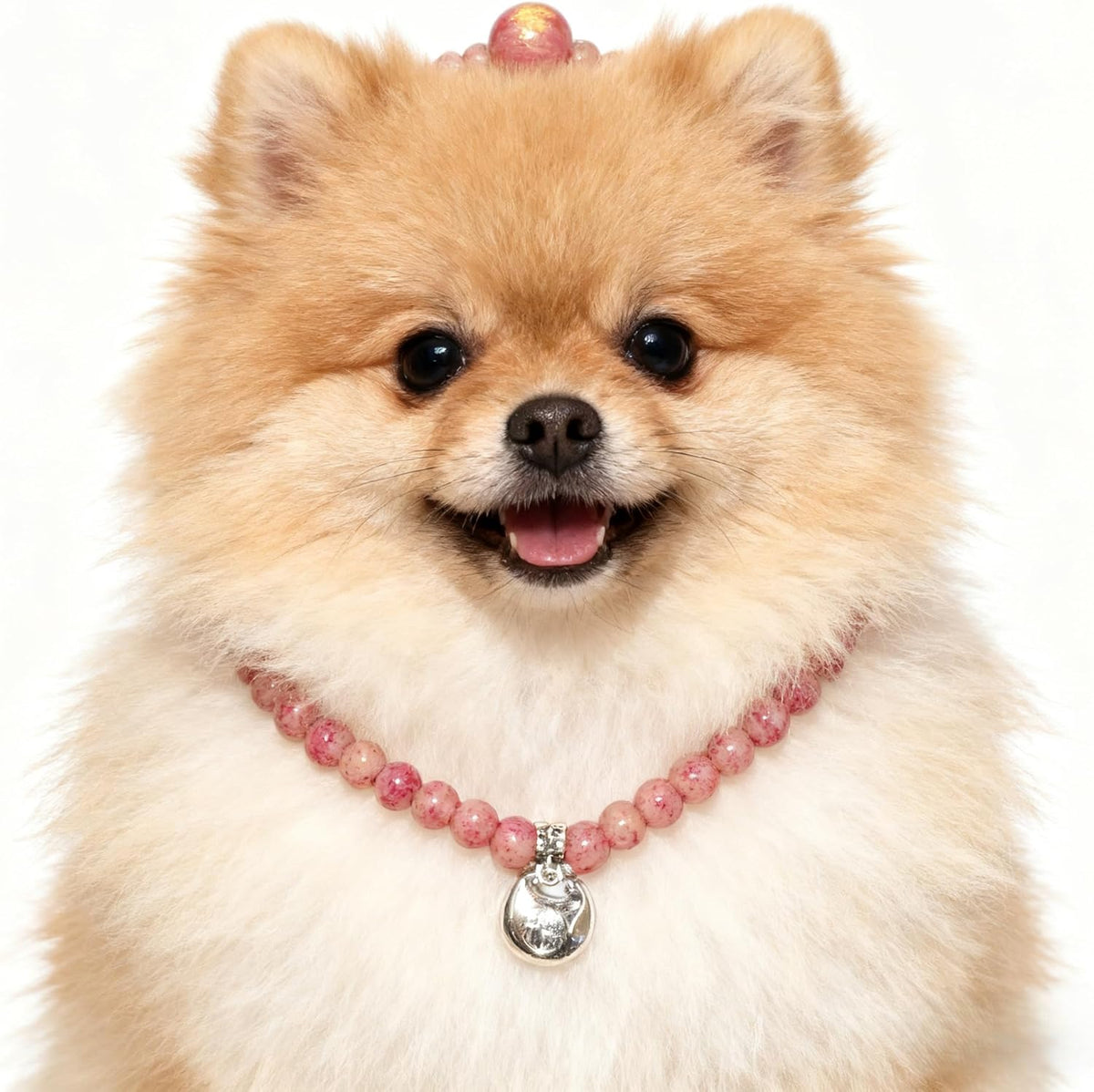 3. PT797 Double-Layered Rose-Pink Pet Charm with Classic Silver Hoops for Small Lap Pets