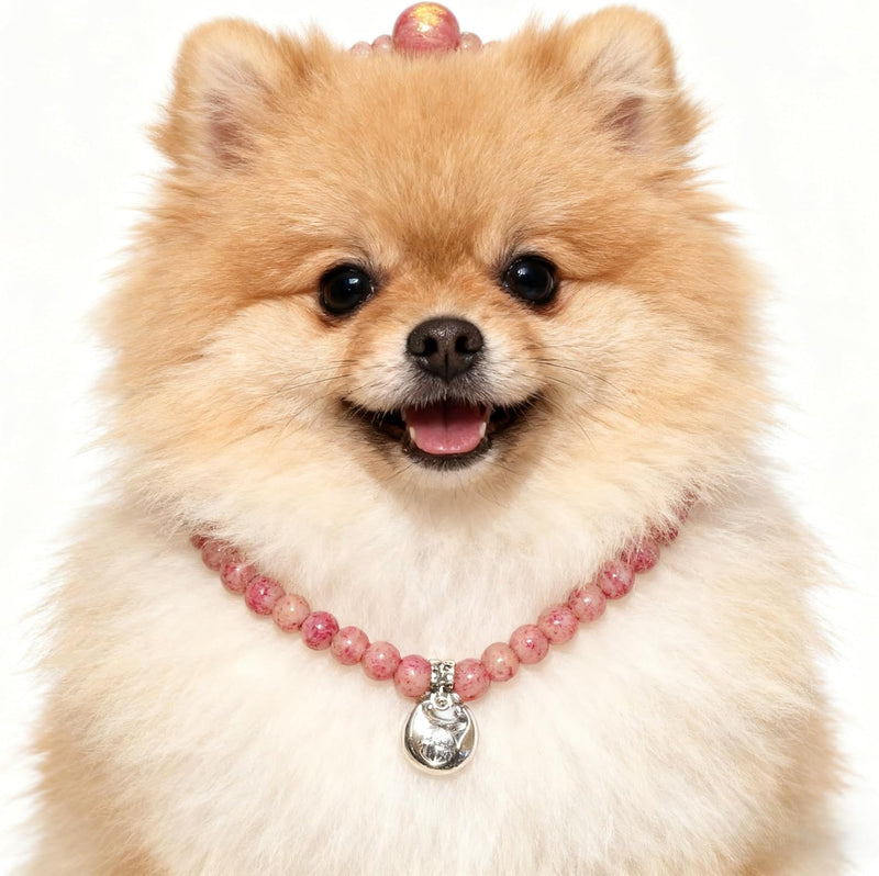 3. PT797 Double-Layered Rose-Pink Pet Charm with Classic Silver Hoops for Small Lap Pets