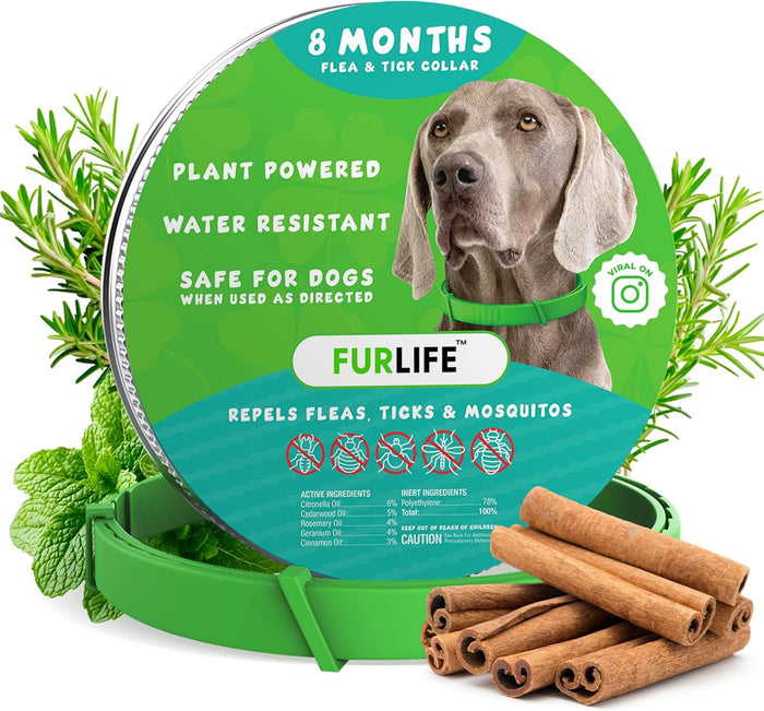 FurLife Flea and Tick Collar for Dogs – Waterproof Grey Dog Collar, Pet Supplies for Tick and Flea Prevention for Dogs, Safe for All Breeds