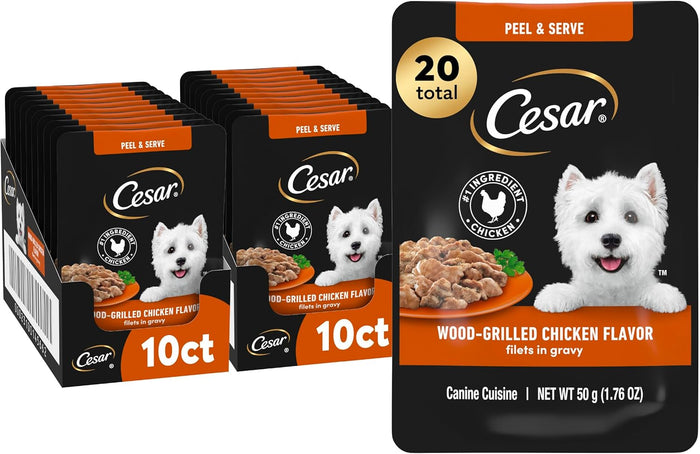 Cesar Filets in Gravy Wet Dog Food Filet Mignon Flavor and Rotisserie Chicken Flavor Variety Pack, 1.76 oz. Mini-Pouches (20 Count, Pack of 2)
