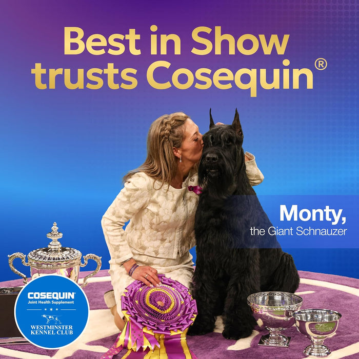 Nutramax Cosequin for Dogs Joint Health Supplement, Contains Glucosamine for Dogs, Plus Chondroitin and MSM, Supports Healthy Joints, For All Breeds and Sizes, Chewable Tablets, 132 Count