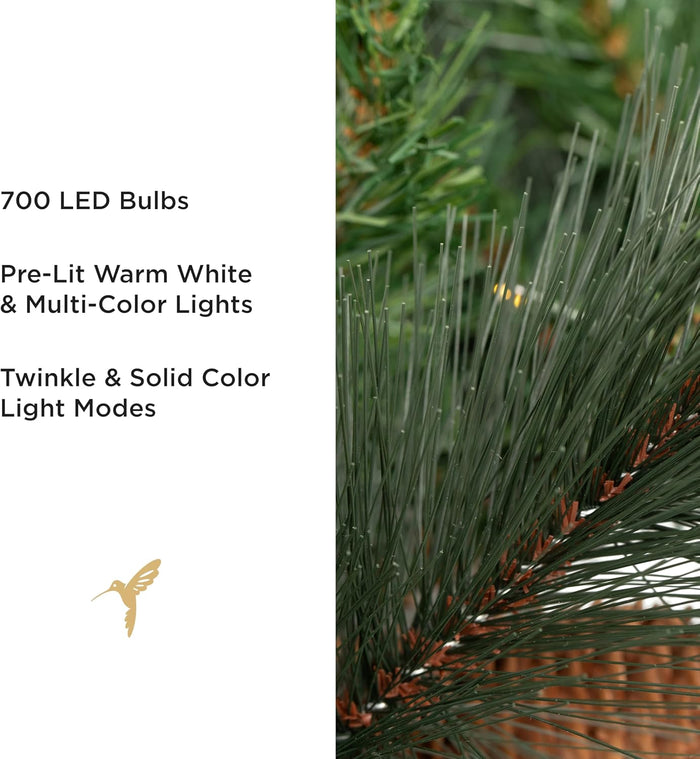 Papyrus 7 ft Pre-Lit Artificial Christmas Tree, Carolina Pine, Pine Cones, Warm White Lights, Includes Stand and Storage Bag