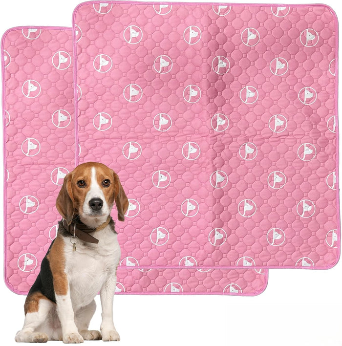 PJYucien Washable Pee Pads for Dogs 2 Pack, 36" x 36" Reusable Pee Pads for Dogs, Leak-Proof Pet Training Pads, Puppy Pads for Non-Slip, Designed for Dog Pen, Whelping Pad, Potty Training (Grey)