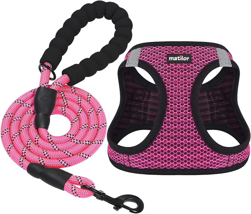 Dog Harness Step-in Breathable Puppy Cat Dog Vest Harnesses for Small Medium Dogs Blue