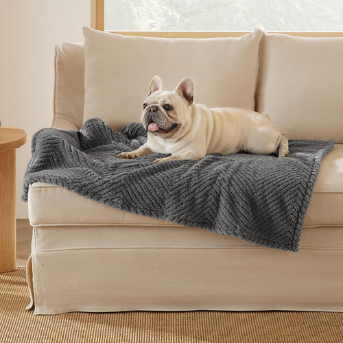 Bedsure Dog Blankets for Small Dogs Washable - Fluffy Fuzzy Cat Puppy Blanket with Premium 300GSM Coral Fleece Soft for Pet Kitten Doggy, White, 25x35IN