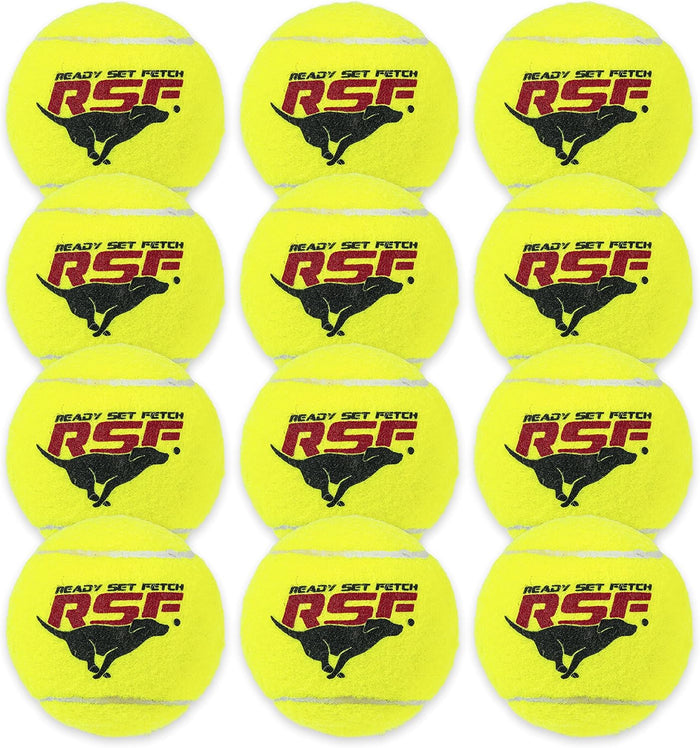 Franklin Pet Supply Co. Squeaky Dog Tennis Balls - Ready Set Fetch Dog Toy Tennis Balls with Squeaker - Perfect Pet Toy Fetch Ball for Small, Medium + Large Dogs - 3 Pack