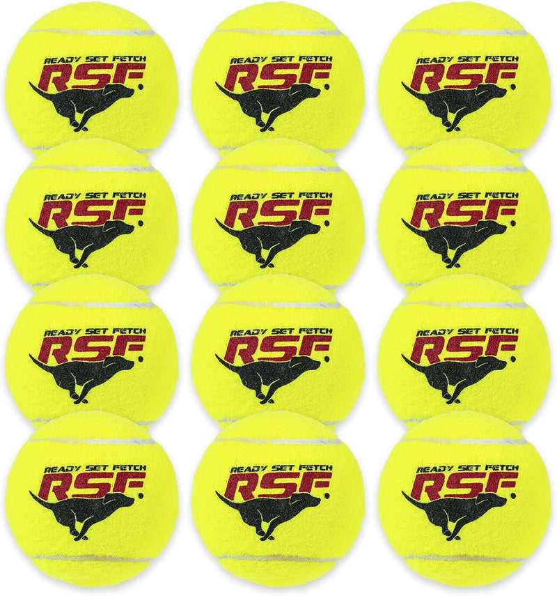 Franklin Pet Supply Co. Squeaky Dog Tennis Balls - Ready Set Fetch Dog Toy Tennis Balls with Squeaker - Perfect Pet Toy Fetch Ball for Small, Medium + Large Dogs - 3 Pack