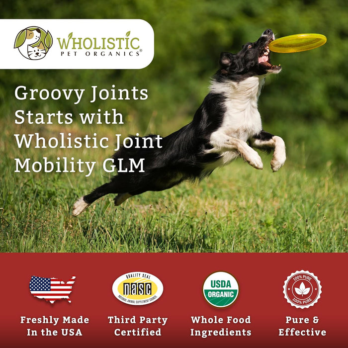 Wholistic Pet Organics Joint Mobility GLM - 2 Lb - Hip and Joint Supplement for Dogs - Glucosamine for Dogs - Chondroitin Supplement with Green Lipped Mussels - Senior to Puppy - Large & Small Breeds