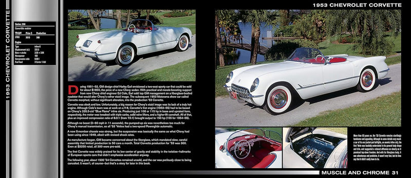Muscle & Chrome: Classic American Cars