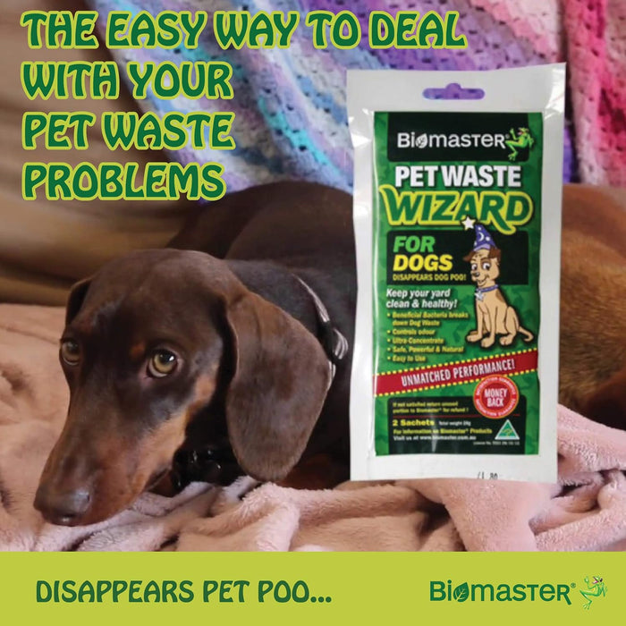 Pet Waste Wizard Digester Sachets, Beneficial Enzymes to Break Down Waste, (100% Natural Concentrate, 2 Sachets)