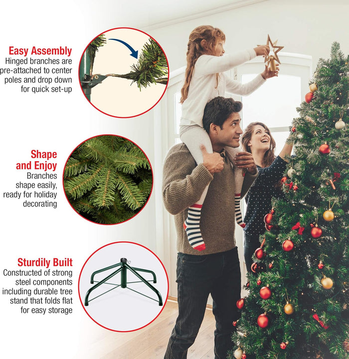 National Tree Company Pre-lit Artificial Christmas Tree - Includes Pre-strung Multi-Color Lights and Stand - Winchester Pine - 7.5 ft