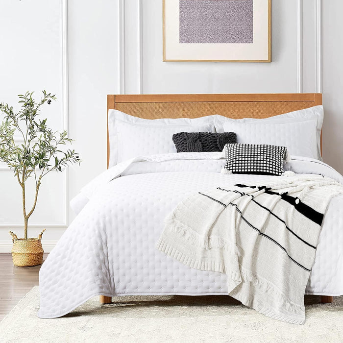 ROARINGWILD Beige Cloud Queen Size Quilt Bedding Sets with Pillow Shams, Farmhouse Lightweight Soft Bedspread Coverlet, All Season Rustic Country Thin Comforter, 3 Pieces, 90x90 inches, Tan Cream