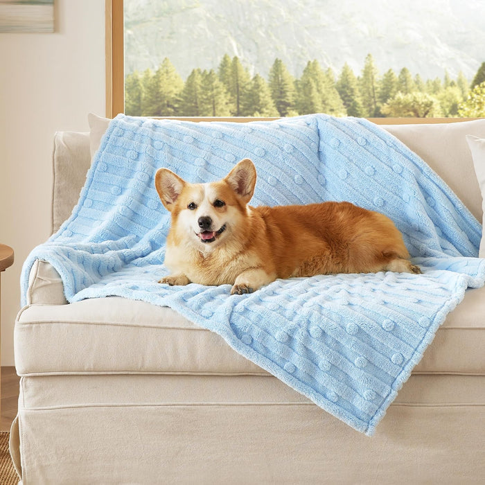 Bedsure Dog Blankets for Small Dogs Washable - Fluffy Fuzzy Cat Puppy Blanket with Premium 300GSM Coral Fleece Soft for Pet Kitten Doggy, White, 25x35IN