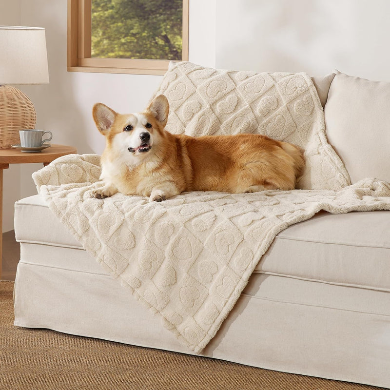 Bedsure Dog Blankets for Small Dogs Washable - Fluffy Fuzzy Cat Puppy Blanket with Premium 300GSM Coral Fleece Soft for Pet Kitten Doggy, White, 25x35IN
