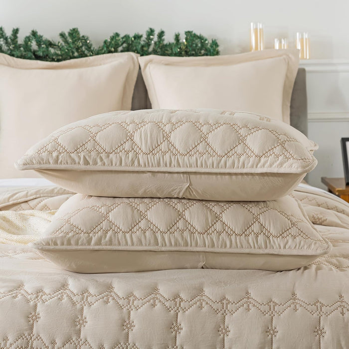 WDCOZY Christmas Queen Size Quilt Bedding Sets with Pillow Shams, Beige Lightweight Soft Bedspread Coverlet, Thin Comforter Bed Cover, All Season, 3 Pieces, 90x90 inches