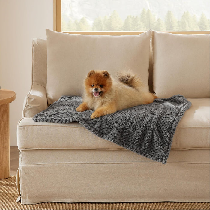 Bedsure Dog Blankets for Small Dogs Washable - Fluffy Fuzzy Cat Puppy Blanket with Premium 300GSM Coral Fleece Soft for Pet Kitten Doggy, White, 25x35IN