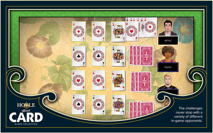 Hoyle Official Card Games (for Windows) [Download]
