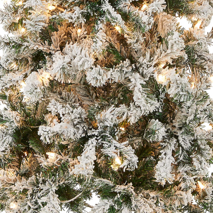 National Tree Company First Traditions Pre-Lit Acacia Flocked Tree Medium Christmas Tree, Clear Incandescent Lights, Plug in, 6 ft