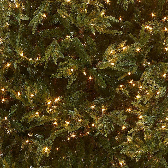 National Tree Company Pre-Lit 'Feel Real' Artificial Full Christmas Tree, Green, Frasier Grande, White Lights, Includes Stand, 6.5 Feet